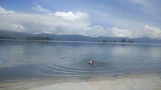 preview picture of video 'Pulau Tao danau Toba Simanindo'