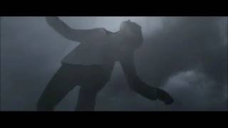 Nick Cave Sheep May Safely Graze