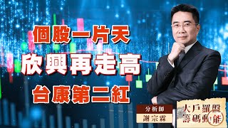 個股一片天 欣興再走高 台康第二紅｜大戶羅盤籌碼動能 ｜謝宗霖 (圖)