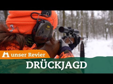 uJ-Gewinner auf Drückjagd im Testrevier | unser Revier | #53