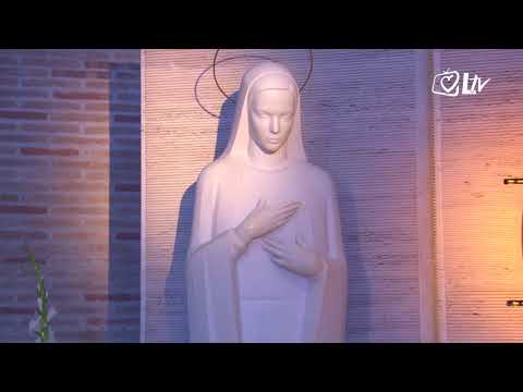 Izdvojeno 13.11.2017. Svetište Mati Slobode