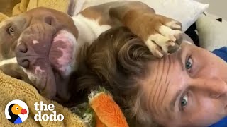 Needy Pittie Stalks Dad Every Hour Of The Day, Even Follows Him In The Shower | The Dodo Soulmates