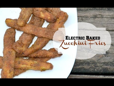ALKALINE ELECTRIC BAKED ZUCCHINI FRIES | THE ELECTRIC CUPBOARD