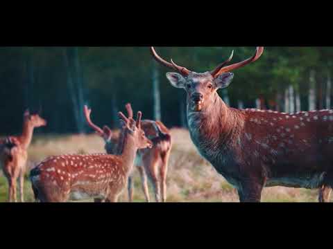 Културен туризъм