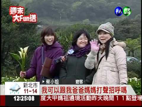 白色竹子湖! 海芋季浪漫登場