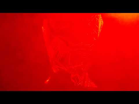 Luke Fair - Desert in me - 3/2/2018 - Parte 3