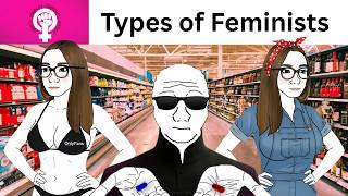Types of Feminists Be Like