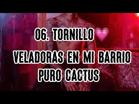 06. Tornillo - Veladoras En Mi Barrio (lyrics) #tornillo #cactus #lyrics