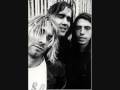 Nirvana- Grey Goose