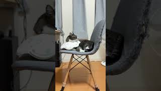 その椅子どいてもらえませんか？
