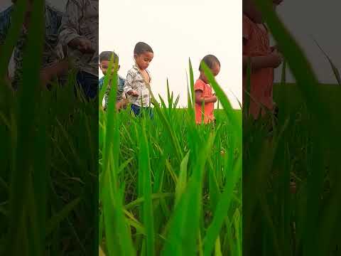 @tazis511 #viral @tajbangla4624 #bangladesh @tajbangla4624 @anasa123 #islamic #islamicvideo