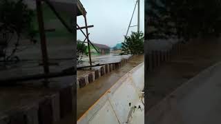 Download lagu Banjir di Muara Toyu, Long Kali, Kabupaten Paser, Kaltim mp3