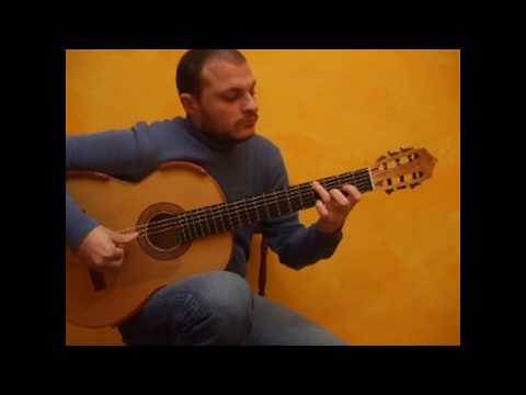 FRATELLO SOLE SORELLA LUNA cover - Flavio Sala, chitarra