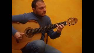 FRATELLO SOLE SORELLA LUNA Guitar Version by Flavio Sala