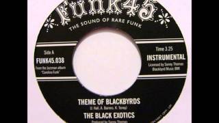 The Black Exotics - Theme Of Blackbyrds