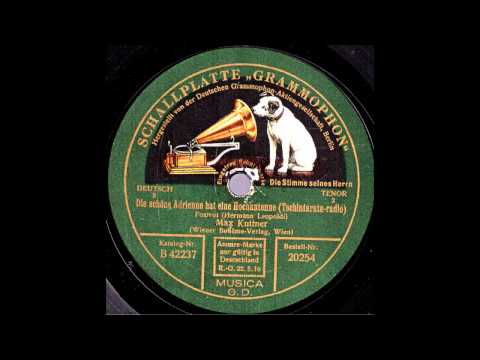 Die schöne Adrienne hat eine Hochantenne / Max Kuttner mit Orchesterbegleitung