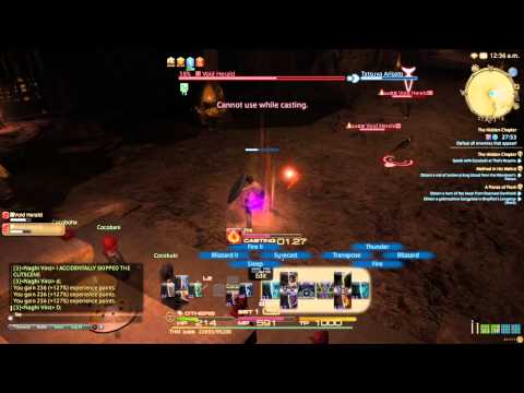 Final Fantasy XIV: Thaumaturge lvl 25 Quest Battle