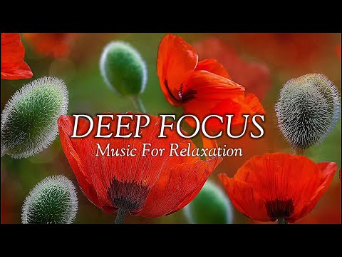 Beautiful Poppy Flower & Peaceful Relaxing Music | Sleep, Calm Music