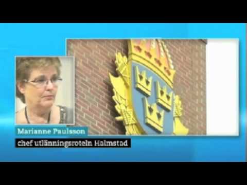 Ljugande uzbeker söker asyl, utvisas, släpps inte in i hemlandet, tillbaka till Sverige.