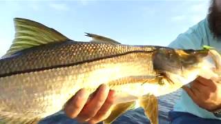 West Wall Outfitters Fall 2018