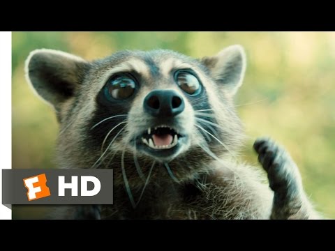 Furry Vengeance (11/11) Movie CLIP - Raccoon Fight (2010) HD