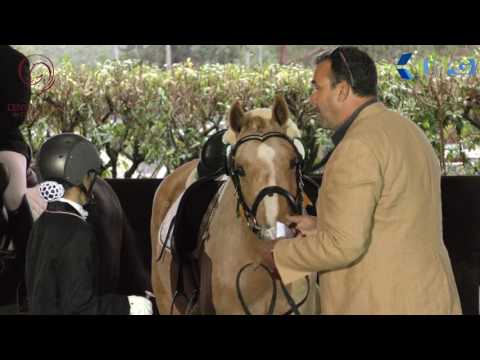 CENTRO HIPICO DA COSTA DO ESTORIL