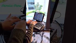 Marvin Gaye - Ain't No Mountain High Enough (Pads) on Melodics App #Shorts #PianellaPianoShorts