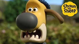 Best Dog 🐑 Shaun the Sheep 🐑 - Cartoons for Kids 🐑 Season 2 All Episodes in Full [4 hour]