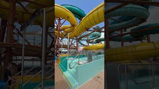 “She’s a beaut Clark!” #mscworldamerica #worldamerica #funnelheads #cruise #msccruise