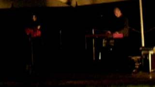 LENE LOVICH - The Freeze - Live in Lunz 2008