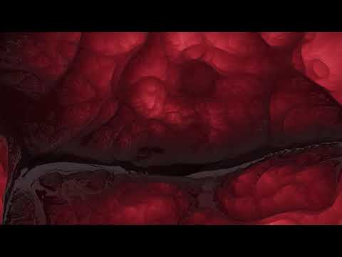 Red Organic Demons - Animated background for intro no copyright