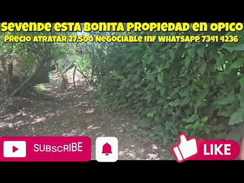 Sevende 1,216m² cuadrados en Opico en joya decen