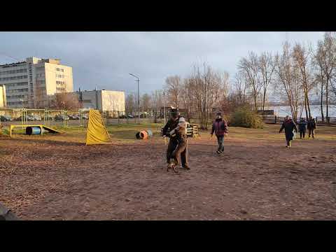Джили. Испытания ЗКС, 86 баллов, 2 степень