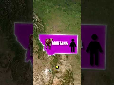 You Won’t Believe These Facts About Montana!”#FunFacts #Montana #TravelTok  #StateFacts