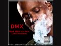 DMX - Ya'll Don't Really Know (Prod. By Swizz Beatz)