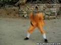 Chinese Shaolin Kung Fu