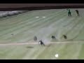 Rabbit Interrupts Greyhound Race