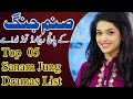 Top 5 Sanam Jung Dramas List