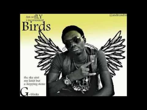 Rap Muzik feat  G Blinks & Akio