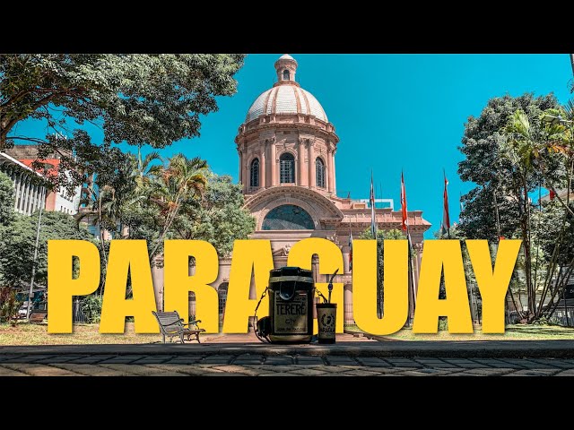Video Pronunciation of Ilex paraguariensis in English Video Pronunciation of Ilex paraguariensis in English