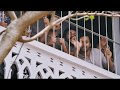 Kilakku Pookum Tamil Song Whatsapp Status
