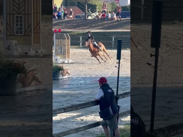 Poney 11 ans 1m48 à louer ou à vendre