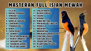Download lagu 🔴 MASTERAN PALING LENGKAP ‼️ FULL ISIAN MURAI BATU GACOR mp3 Download lagu 🔴 MASTERAN PALING LENGKAP ‼️ FULL ISIAN MURAI BATU GACOR mp3