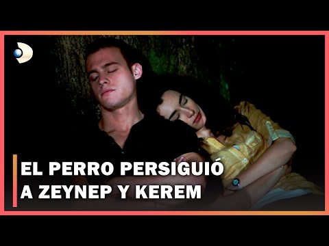 Esperando El Sol Español - Zeynep y Kerem Persiguieron Al Perro - Sección 3