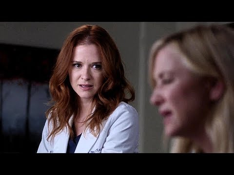 Arizona Robbins 14x12