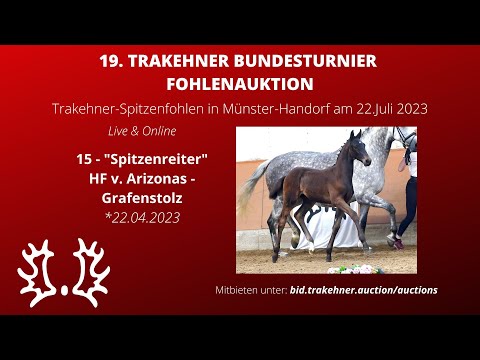 15 - Spitzenreiter - HF v. Arizonas - Grafenstolz *22.04.2023