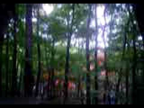 Thomas Anders - "Geronimo's Cadillac" Sopot '08 - próba