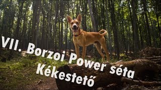 VII. Borzoi Power séta - Kékestető