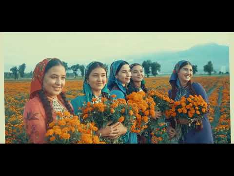 Gulshat Gurdowa - “Gözüm düşdi“