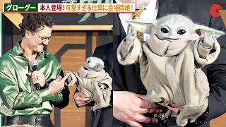 グローグー、本人の登場に会場悶絶！中島裕翔も驚き！映画『スター・ウォーズ/マンダロリアン・アンド・グローグー』ジャパンプレミア